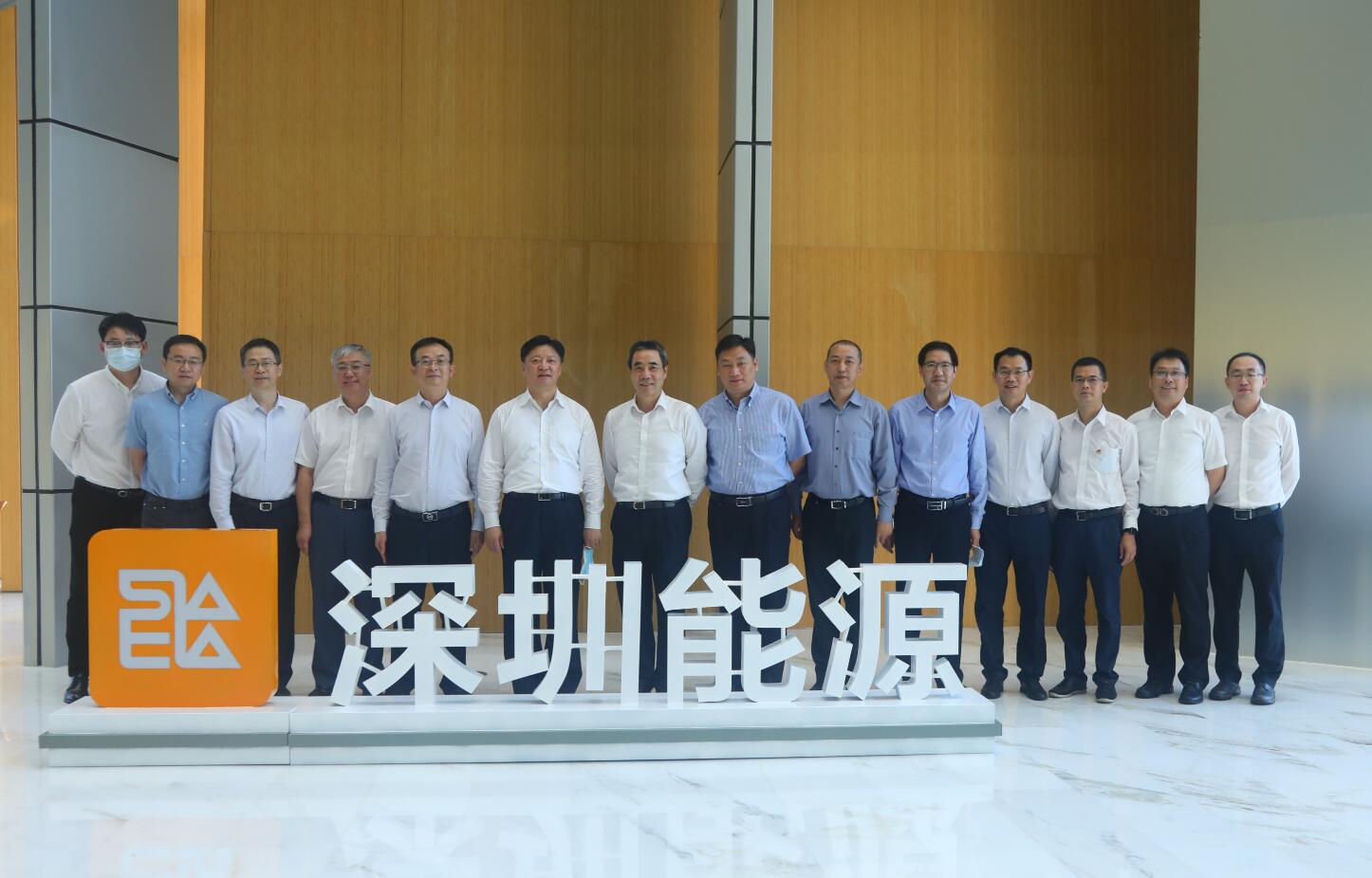 深圳能源，电力与清洁能源领域的领先企业介绍